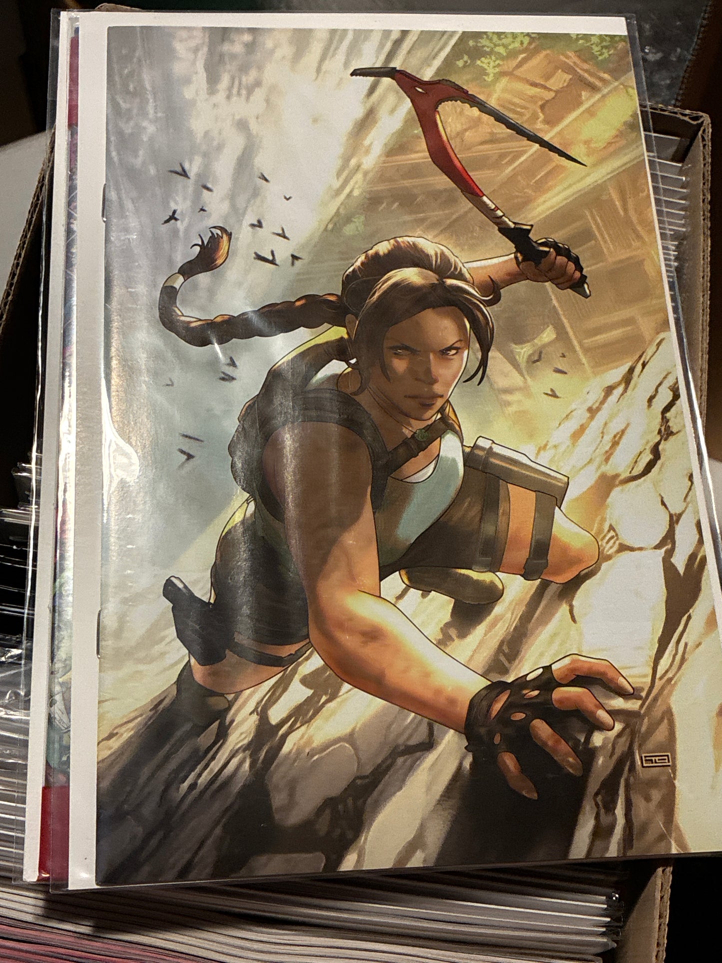 Tomb Raider #1 Thank You